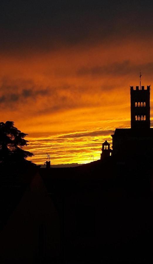 Apartmán La Terrazza Fra Le Torri Lucca Exteriér fotografie