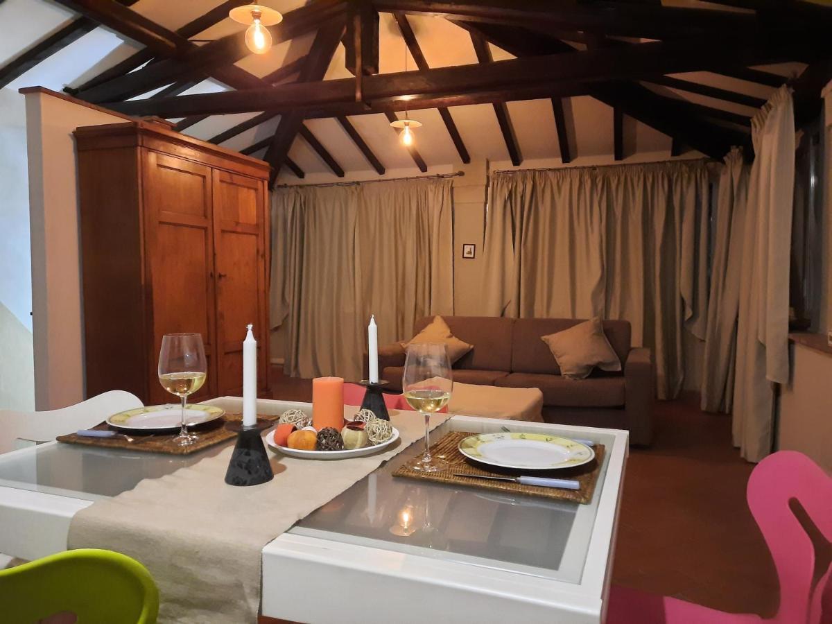Apartmán La Terrazza Fra Le Torri Lucca Exteriér fotografie